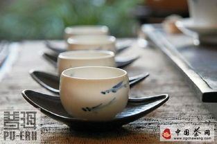 新观茶 茶业当自律