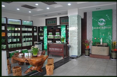 南山茶业加盟