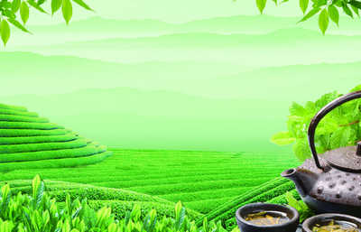 聚宝茶业