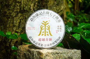 广州春季茶业博览会,康记茶业约定您