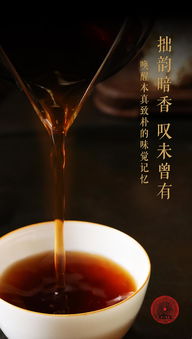 西双版纳勐海元一茶业有限责任公司