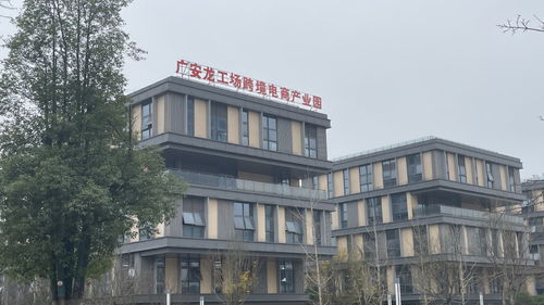 将 广安造 卖到全球 ,广安龙工场跨境电商产业园开园