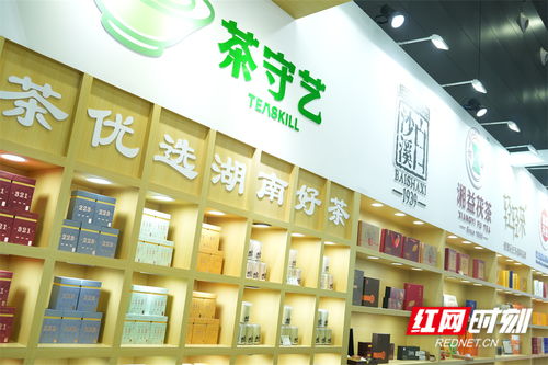 农博时刻丨品香茗 喝茶饮,农博会上茶香四溢