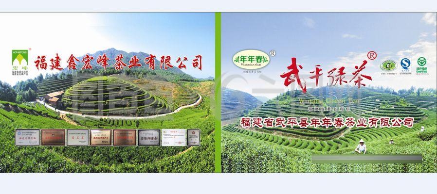 茶业版面
