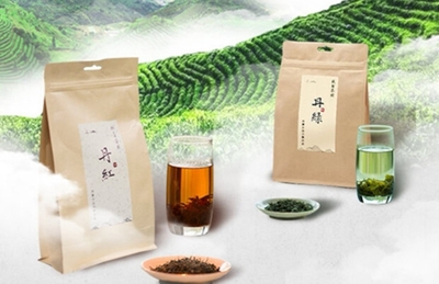 丹寨扶贫茶园扩大千亩 创新扶贫模式各界点赞