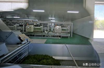 茶时加工无人工厂问世,鲜叶不落地不经人手, 2人年产5亿产品