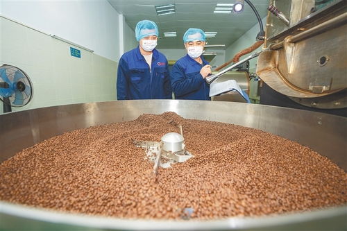 海南农垦企业做强农产品精深加工 土特产 链 上新食尚