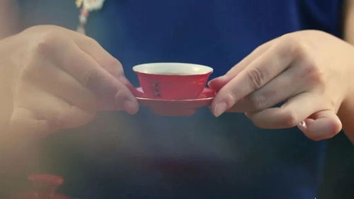 深度融入 一带一路 ,让茶与世界双向奔赴