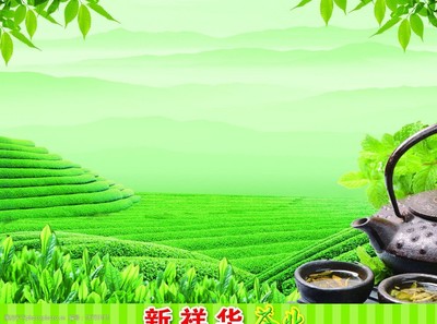 新祥华茶业图片
