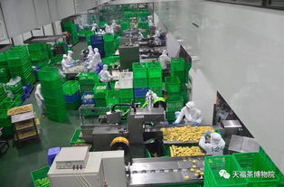 天福 茶业界第一品牌