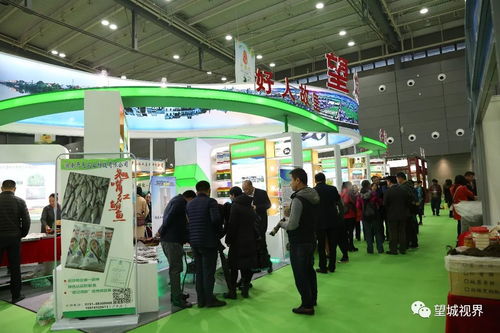 2017中国中部 湖南 农业博览会开幕啦 赶快看看望城味道