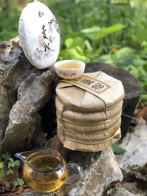 一球茶业2020曼松正式面世