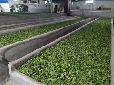 茶叶文化、地摊文化、园林机械综合