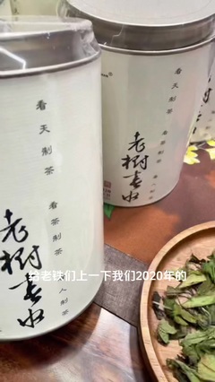 永岩山茶业