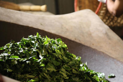 从‘吃白相饭’到做‘白相’茶 茶业的转型与创新