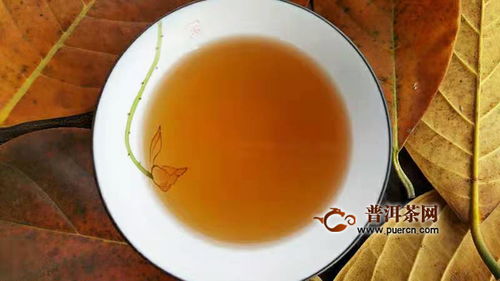 如初见易武柔情 2018年兴海茶业易武生态乔木试用报告