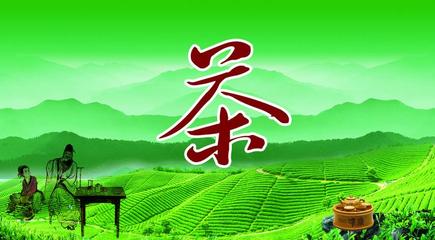 八友茶业 匠心传承，品味自然