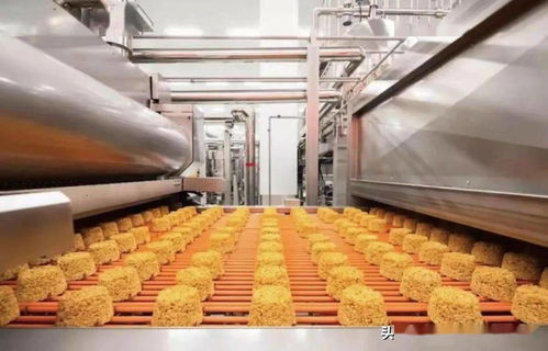 茶香四溢，机遇无限——海外茶业项目邀您共创辉煌