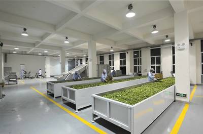 厉害了，我的茶！祥源茶业收获好评不断