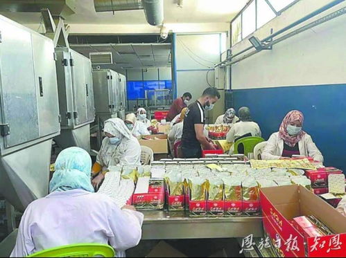 摩洛哥鹤峰茶锚定北非市场的背后 茶业战略解析